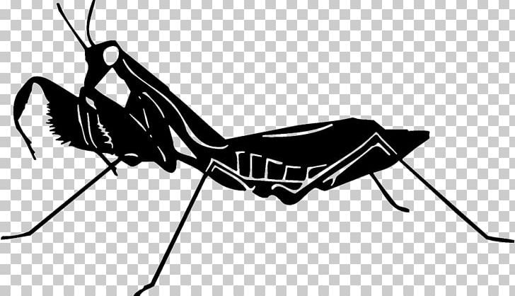 Insect Silhouette PNG, Clipart, Art, Arthropod, Black, Black And White, Black M Free PNG Download