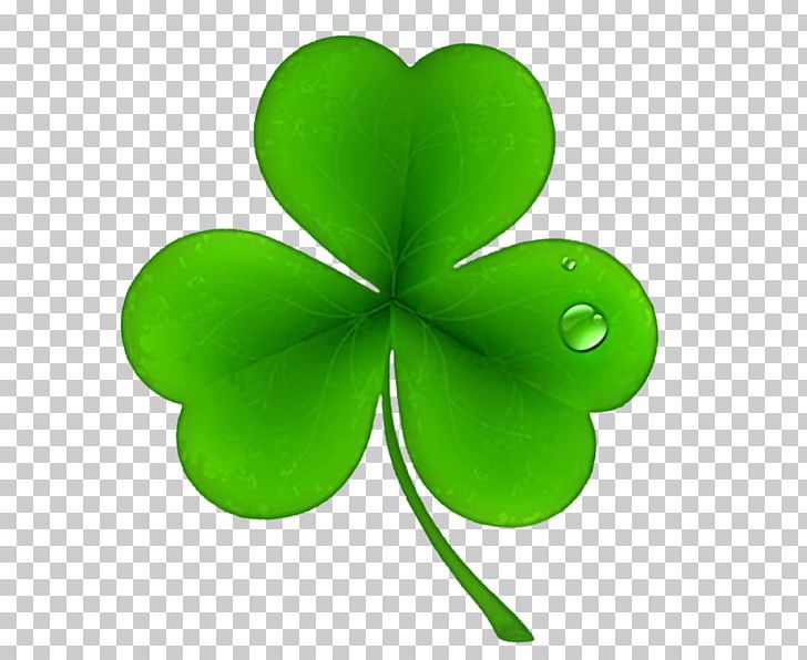 Ireland Saint Patrick's Day National ShamrockFest Public Holiday PNG, Clipart, Clover, Fourleaf Clover, Green, Holiday, Holidays Free PNG Download