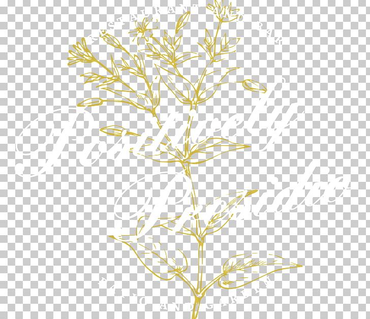 Twig Plant Stem Leaf Commodity Flower PNG, Clipart, Branch, Commodity, Flora, Flower, Grasses Free PNG Download