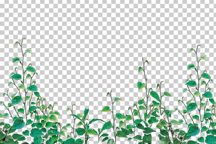 Greenery PNG, Clipart, Branch, Computer Graphics, Computer Icons, Decorative Patterns, Design Free PNG Download