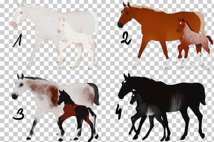 Mustang Foal Stallion Mare Colt PNG, Clipart, Animal Figure, Bridle, Colt, Deviantart, Foal Free PNG Download