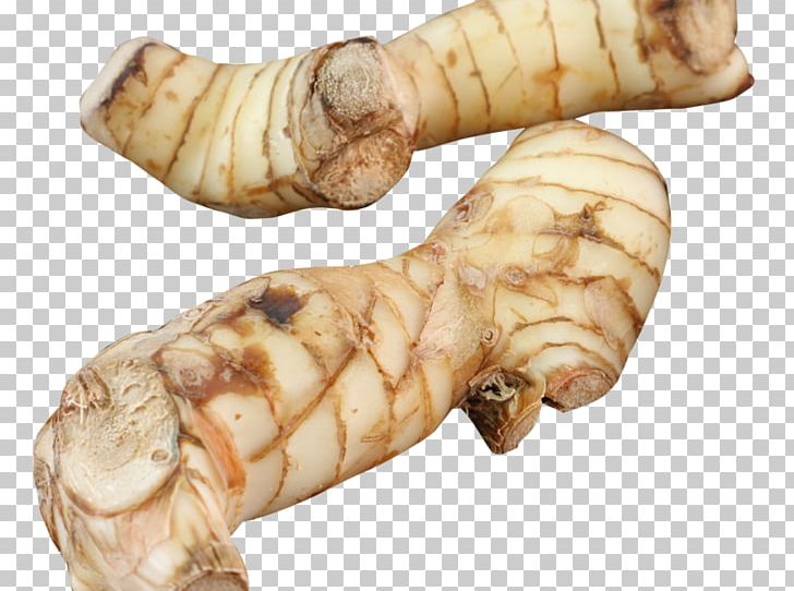 Greater Galangal Ginger Portable Network Graphics Celeriac PNG, Clipart, Alpinia, Background, Celeriac, Celery, Finger Free PNG Download