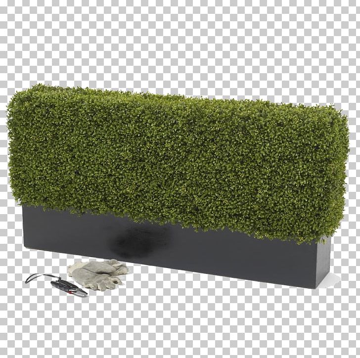 Hedge Box Shrub Topiary Artificial Flower PNG, Clipart, Artificial, Artificial Flower, Astro, Bonsai, Box Free PNG Download