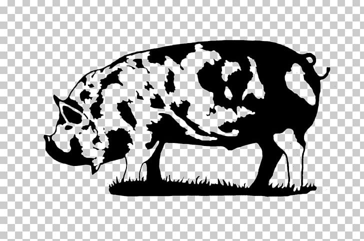 Kunekune Large Black Pig Dairy Cattle Large White Pig Breed PNG, Clipart, American, Black And White, Bull, Cattle Like Mammal, Competitive Free PNG Download