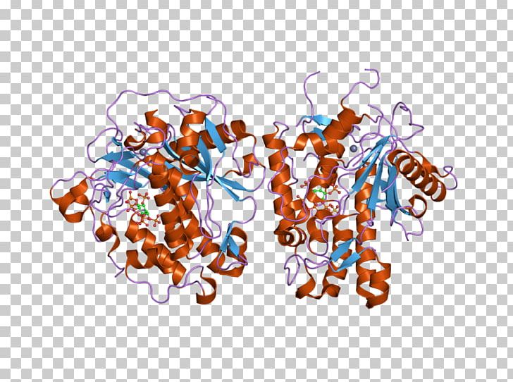 ADARB1 Precursor MRNA RNA Editing Genetic Code PNG, Clipart, Adarb1, Adenosine, Deamination, Domain, Doublestranded Rna Viruses Free PNG Download
