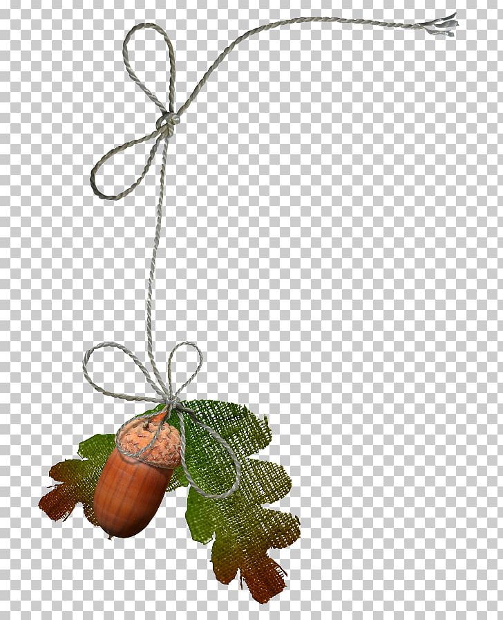 Leaf PNG, Clipart, Autumn, Branch, Download, Free, Fruit Free PNG Download