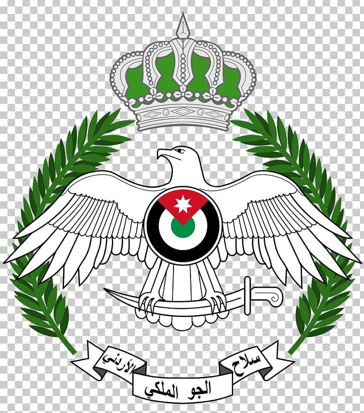 Royal Jordanian Air Force Northrop F-5 Royal Jordanian Air Force General Dynamics F-16 Fighting Falcon PNG, Clipart, Air Force, Air Jordan, Artwork, Beak, Egyptian Air Force Free PNG Download