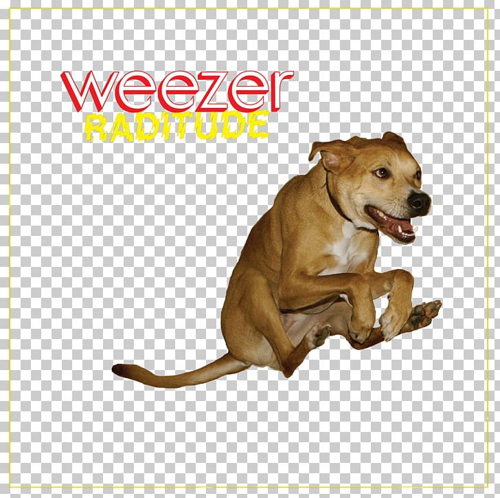 Weezer Raditude Album Buddy Holly Maladroit PNG, Clipart, Album, Alternative Rock, Buddy Holly, Carnivoran, David Geffen Company Free PNG Download