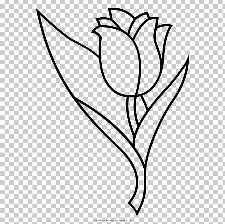 Floral Design Tulip Drawing Flower Coloring Book PNG, Clipart, Art, Artwork, Bb8, Black, Black And White Free PNG Download