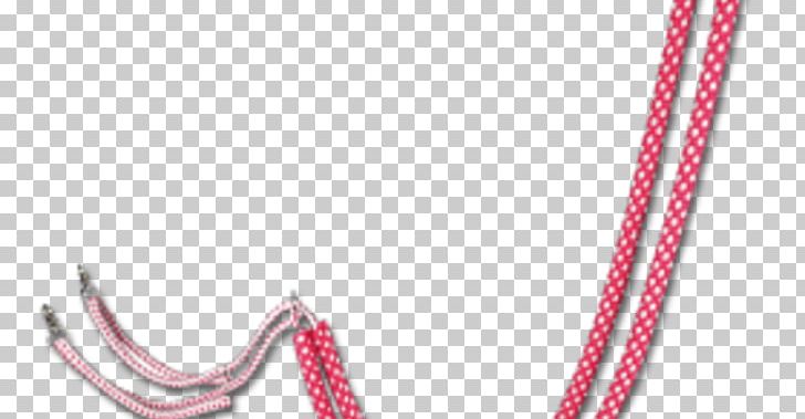 Horse Foal Rope Rein Pony PNG, Clipart,  Free PNG Download