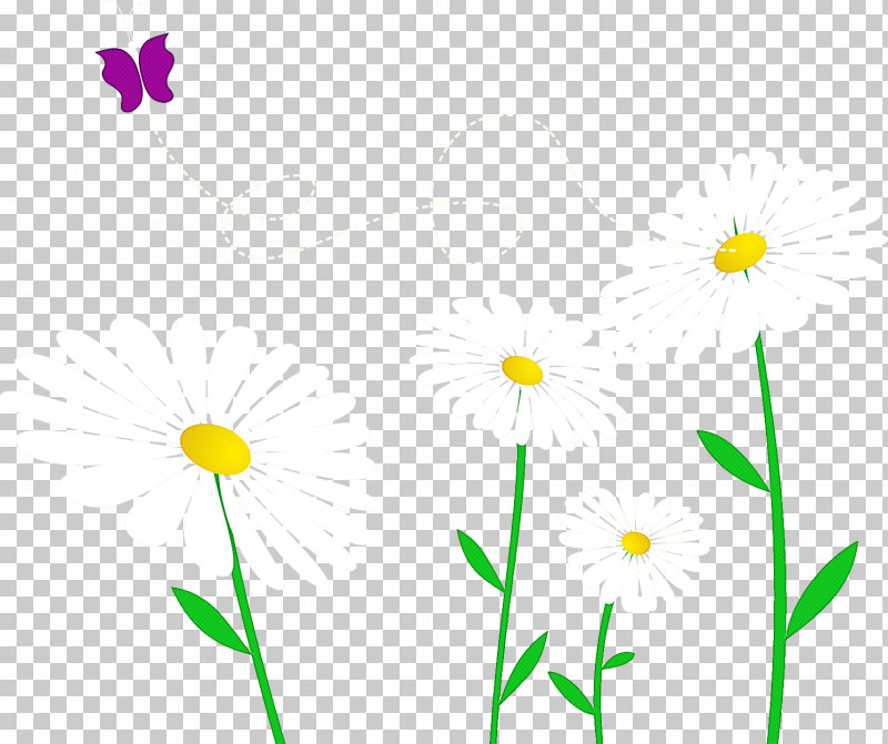 Gerbera Daisy Marguerite PNG, Clipart, Chrysanthemum, Common Daisy, Cut Flowers, Daisy, Floral Design Free PNG Download