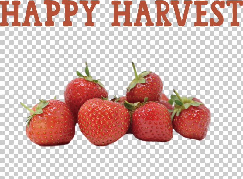 Happy Harvest Harvest Time PNG, Clipart, Cooking, Fruit, Happy Harvest, Harvest Time, Healthy Diet Free PNG Download