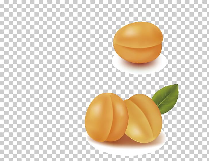 Apricot PNG, Clipart, Adobe Illustrator, Apricot, Apricot Blossom Yellow, Apricot Flower, Apricots Free PNG Download
