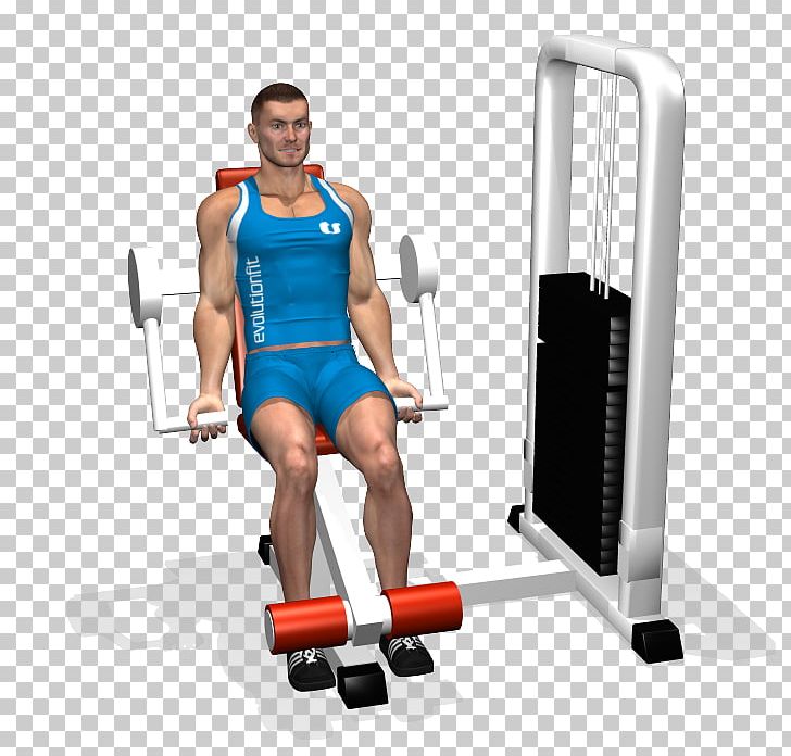Biceps Weight Training Muscle Flexion Marteau Brachioradialis PNG, Clipart, Abdomen, Arm, Barbell, Biceps, Biceps Curl Free PNG Download