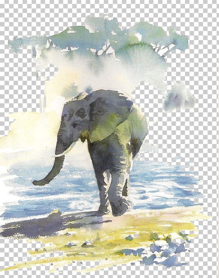 Hazel Soans African Watercolours Paper Watercolor Painting Painter PNG, Clipart, African Elephant, Animal, Animals, Art, Artist Free PNG Download