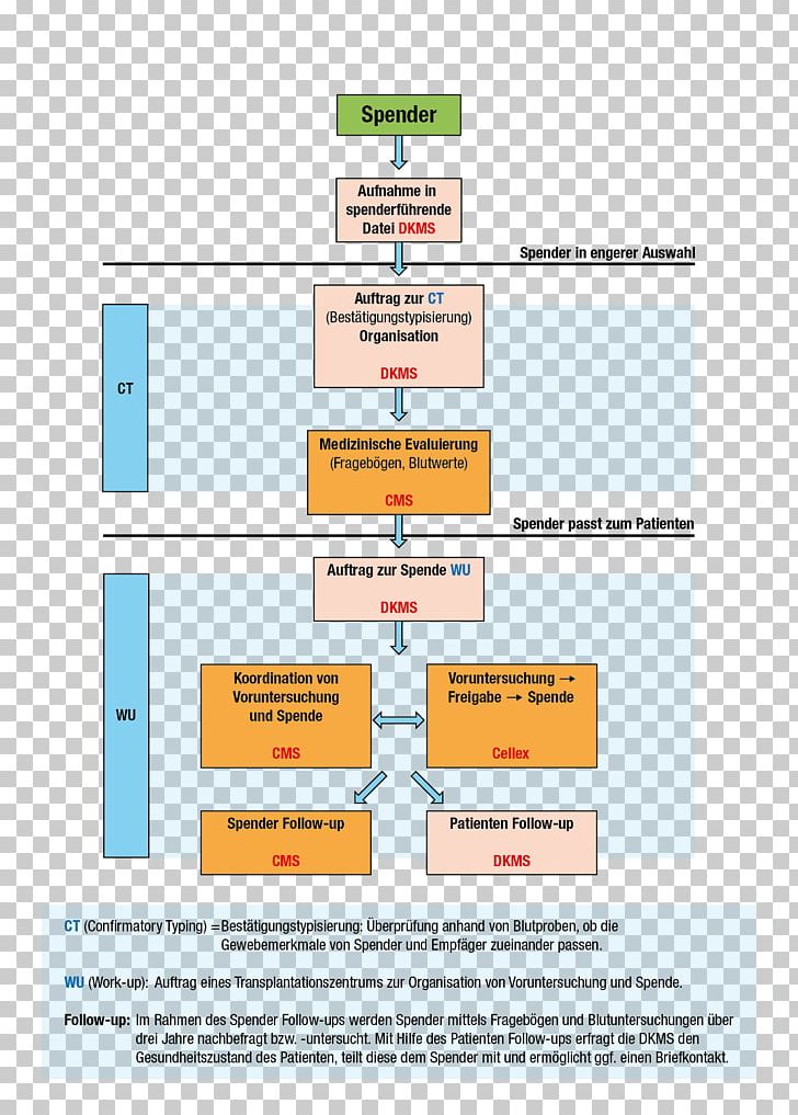 Hematopoietic Stem Cell Transplantation DKMS Transplant Rejection Web Page PNG, Clipart, Allwheel Drive, Area, Breast, Breast Augmentation, Breast Implant Free PNG Download