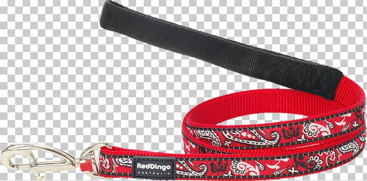 Leash Dingo Strap Top Pet WebShop Horse Harnesses PNG, Clipart, Australia, Belt, Cyprus, Dingo, Dog Free PNG Download