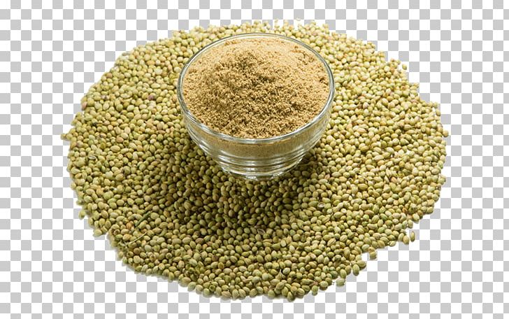 Seasoning Indian Cuisine Coriander Masala Flavor PNG, Clipart, Bean, Cereal, Cereal Germ, Chili Pepper, Commodity Free PNG Download