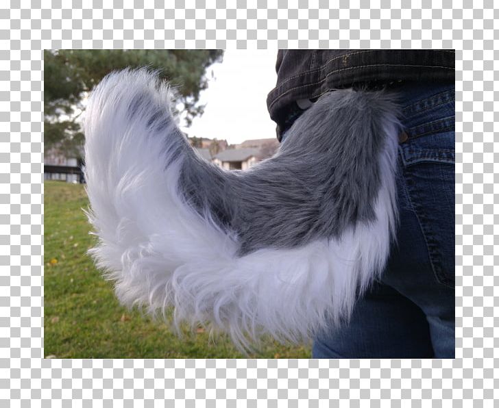Siberian Husky Tail Cat Fox PNG, Clipart, Animals, Cat, Clothing, Cosplay, Costume Free PNG Download