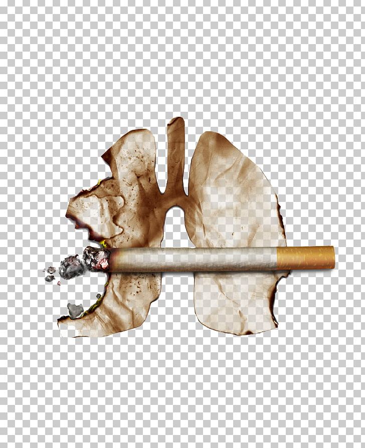 Smoking Ban Fatty Liver Liver Function Tests PNG, Clipart, Cherish Life, Decorative Patterns, Dog Like Mammal, Fatty Liver, Fur Free PNG Download