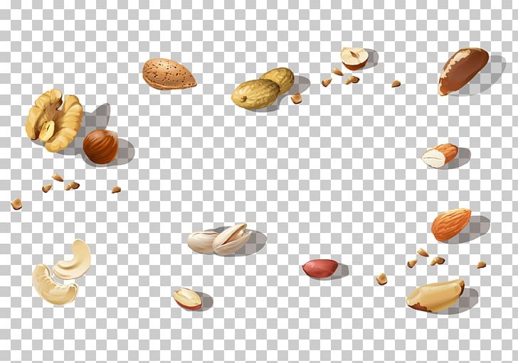 Tree Nut Allergy Vegetarian Cuisine Food Commodity PNG, Clipart, Commodity, Food, Mixture, Nut, Nuts Seeds Free PNG Download