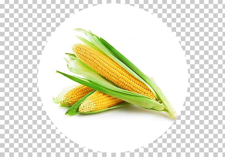Vegetarian Cuisine Maize Sweet Corn Corn Oil PNG, Clipart, Baby Corn, Cereal, Commodity, Corn Gluten Meal, Cornmeal Free PNG Download