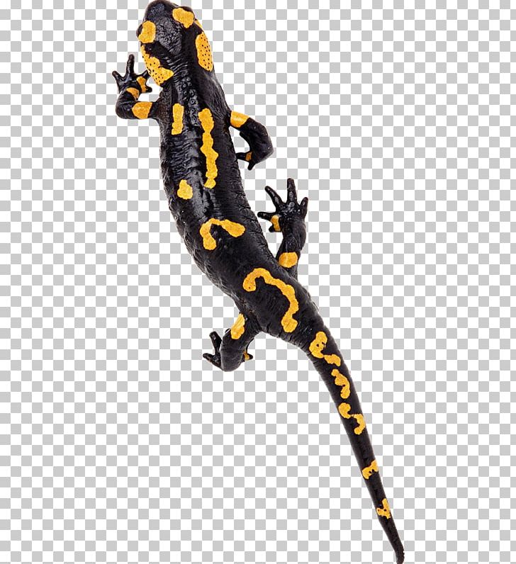 Gecko Lizard Reptile Chameleons PNG, Clipart, Amphibian, Animal, Animal Figure, Animals, Black Free PNG Download