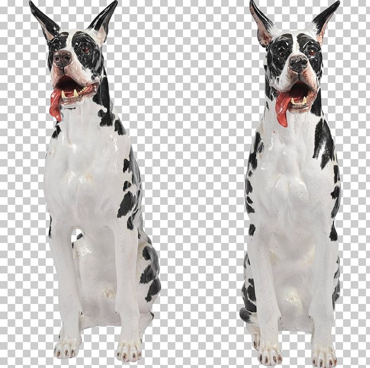Great Dane Boston Terrier Dog Breed Boxer Italy PNG, Clipart, 20 Th, Boston Terrier, Boxer, Carnivoran, Century Free PNG Download