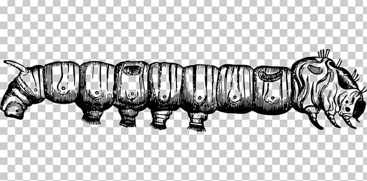 Insect Silkworm Larva Caterpillar PNG, Clipart, Animal, Animals, Art, Auto Part, Black And White Free PNG Download