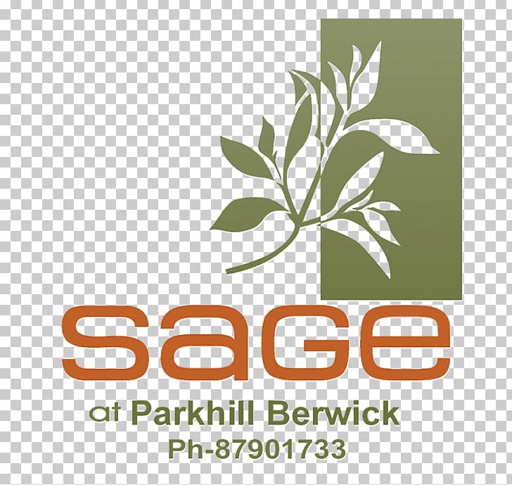 Logo Font Brand Product Leaf PNG, Clipart, Brand, Disease, Leaf, Logo, Text Free PNG Download