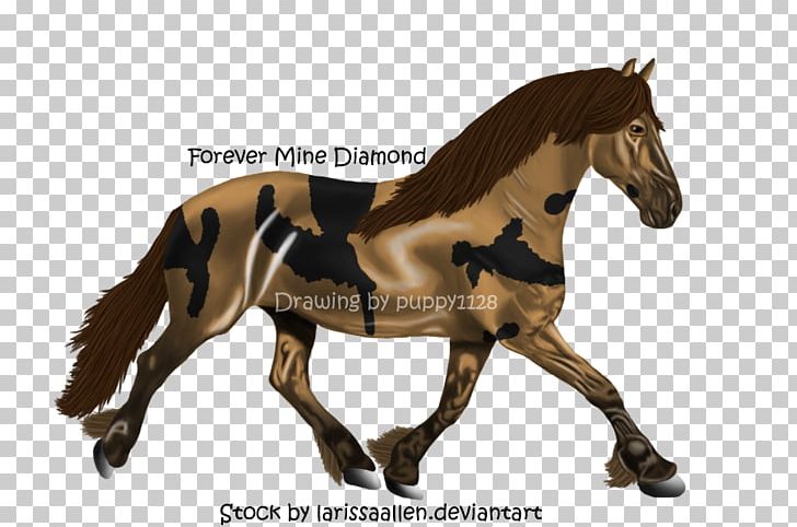 Mustang Foal Stallion Mare Colt PNG, Clipart, Colt, Foal, Mare, Mustang, Stallion Free PNG Download