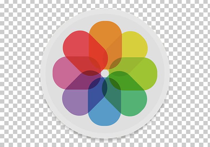 Petal Circle Flower PNG, Clipart, Apple, Apple Id, Apple Photos, Application, Button Ui Requests 12 Free PNG Download