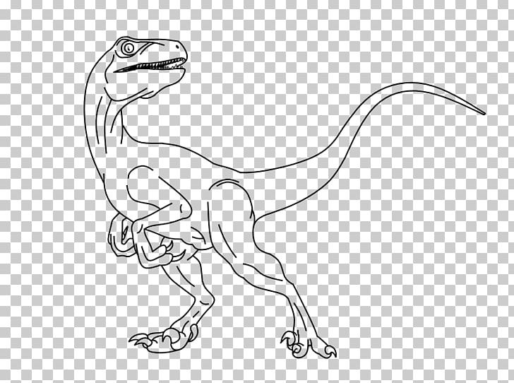 Velociraptor Line Art Drawing Dinosaur PNG, Clipart, Animal Figure, Art, Artwork, Black And White, Coloring Book Free PNG Download
