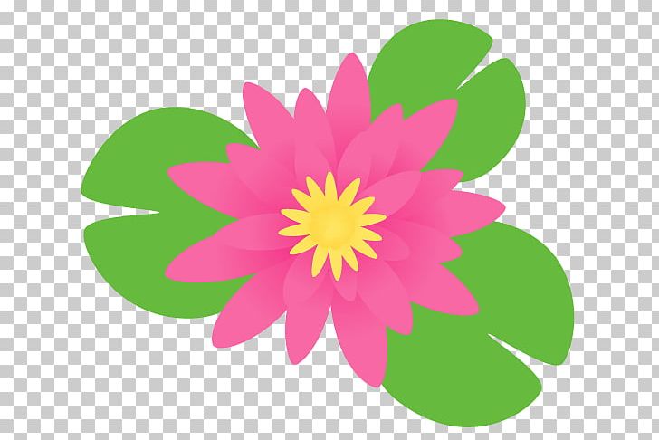 Pygmy Water-lily Plant Petal Marsh Flower PNG, Clipart, Annual Plant, Dahlia, Daisy Family, Flora, Flower Free PNG Download
