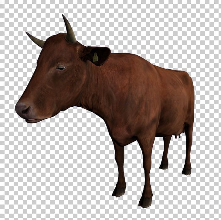 Dairy Cattle DayZ Calf Ox PNG, Clipart, Animal, Brown, Bull, Calf, Cattle Free PNG Download