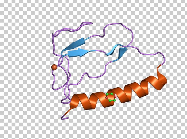 Insulin-like Growth Factor-binding Protein IGFBP1 Insulin-like Growth Factor 1 IGFBP3 PNG, Clipart, Binding Protein, Domain, Igfbp7, Insulin, Insulinlike Growth Factor Free PNG Download