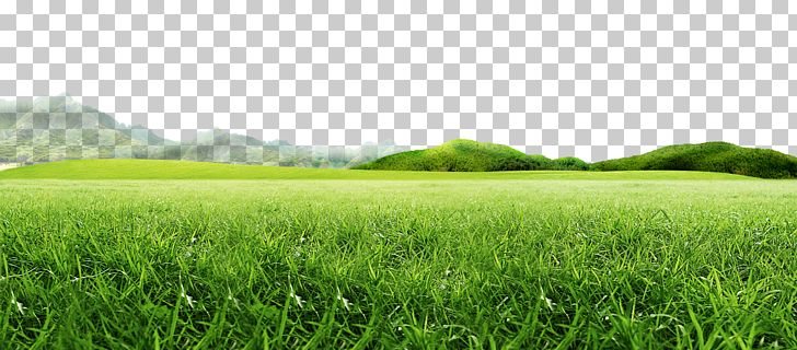 Mountain Idea PNG, Clipart, Agriculture, Animation, Artificial Turf, Crop, Dow Free PNG Download