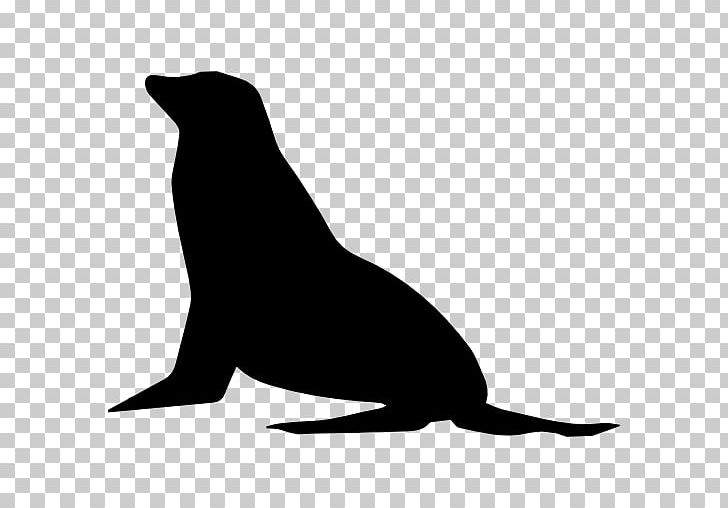 Earless Seal Sea Lion Mammal Shape PNG, Clipart, Animal, Art, Beak, Black, Black And White Free PNG Download