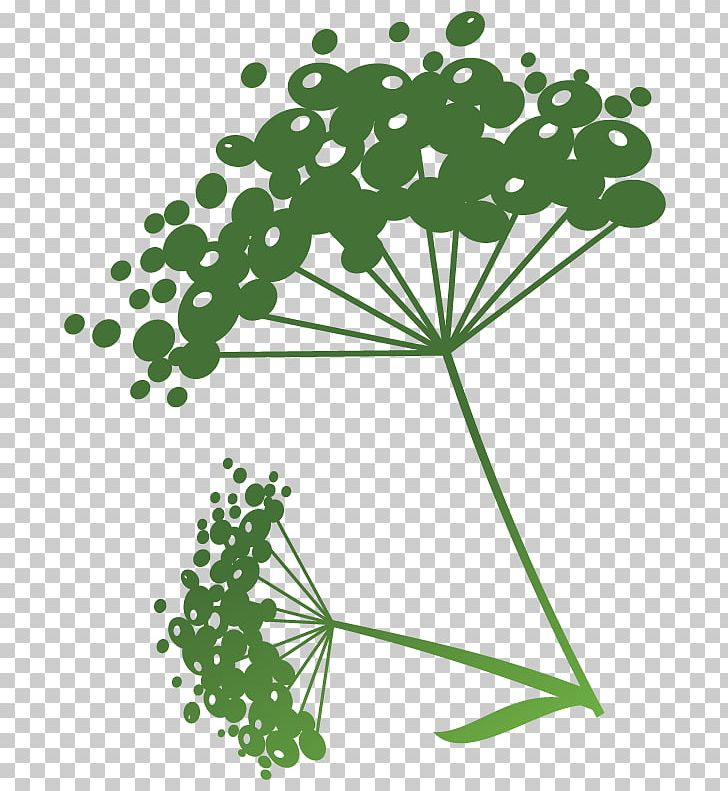 Flowering Plant Green Line Point PNG, Clipart, Art, Blume, Branch, Branching, Flora Free PNG Download