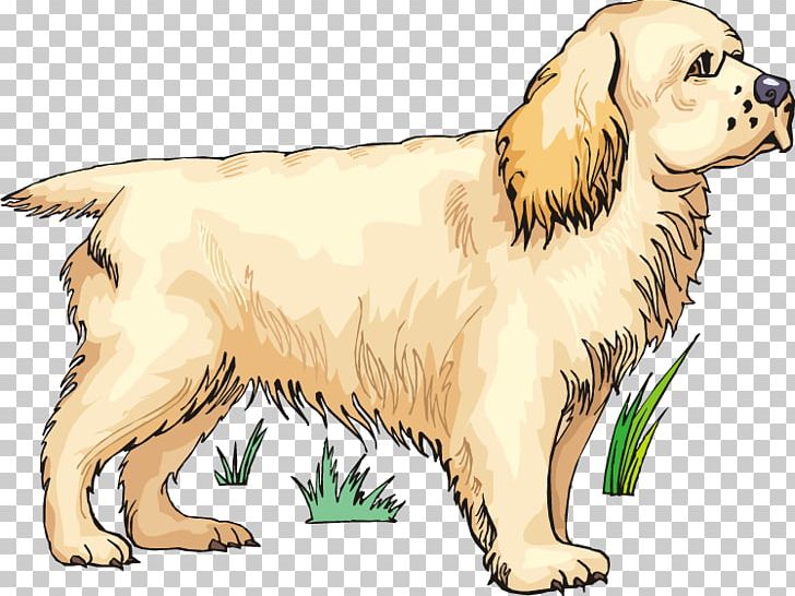 Golden Retriever Puppy Dog Breed Spaniel Companion Dog PNG, Clipart, Animals, Breed, Breed Group Dog, Cane, Carnivoran Free PNG Download