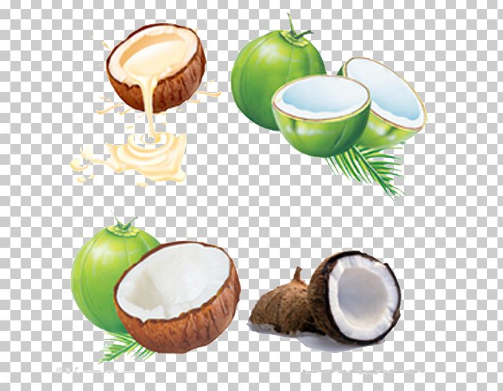 Juice Coconut Water Coconut Milk PNG, Clipart, Coconut, Coconut Milk Powder, Coconut Oil, Coffee Cup, Copra Free PNG Download