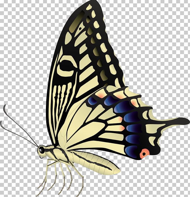 Photography Drawing PNG, Clipart, Art, Arthropod, Brush Footed Butterfly, Butterfly, Drawing Free PNG Download