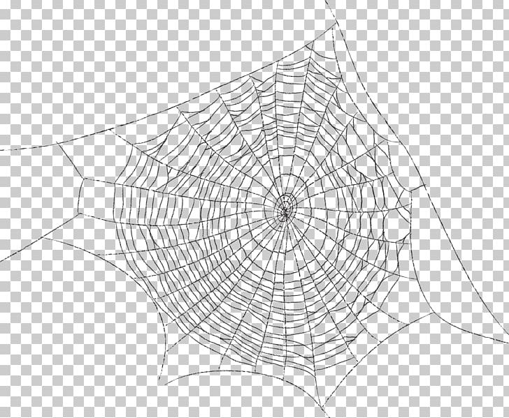 Spider Web Symmetry Pattern PNG, Clipart, Angle, Arachnid, Area, Black And White, Circle Free PNG Download