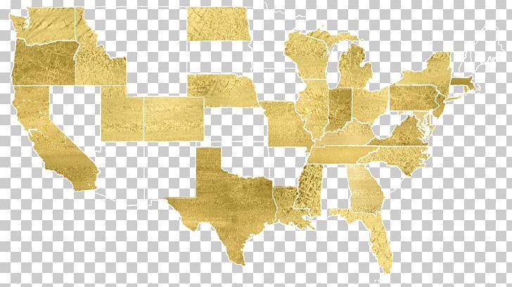 United States Elections PNG, Clipart, Deficiency, Design Map Network, Diet, Gold, Hypovitaminosis D Free PNG Download