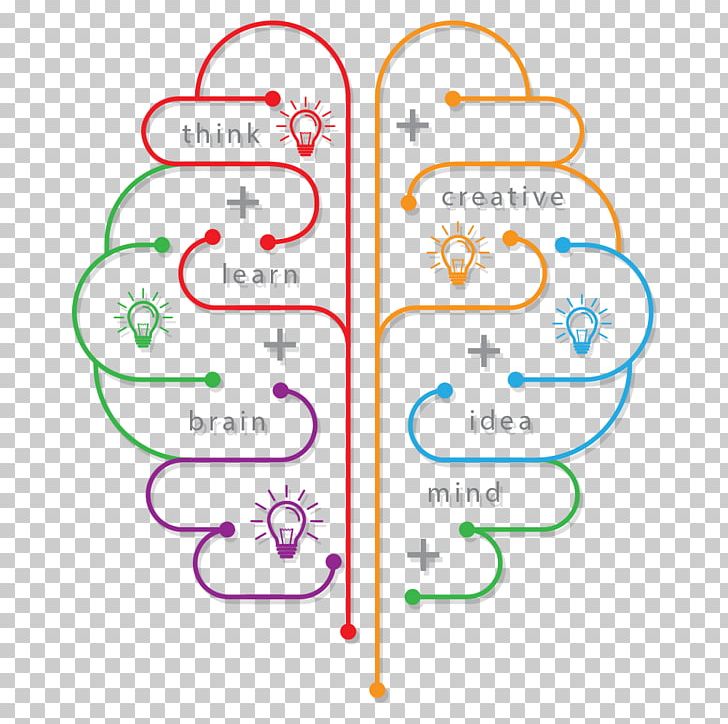 Education Computer Graphics PNG, Clipart, Angle, Area, Brain, Business, Circle Free PNG Download