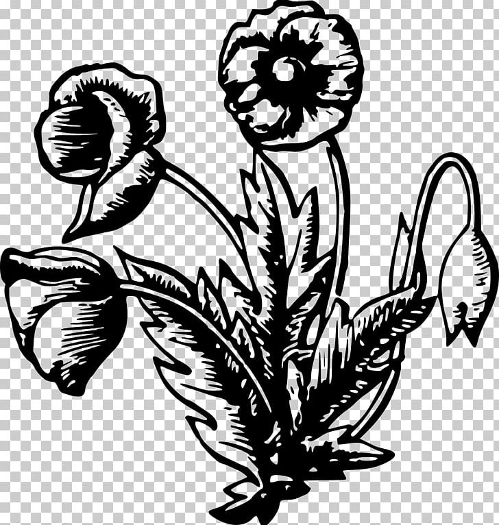 Flower PNG, Clipart, Art, Artwork, Black And White, Computer Icons, Drawing Free PNG Download