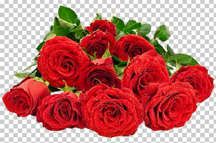 Garden Roses Flower Bouquet Stock Photography PNG, Clipart, Artificial Flower, Cut Flowers, Featurepics, Floral Design, Floribunda Free PNG Download