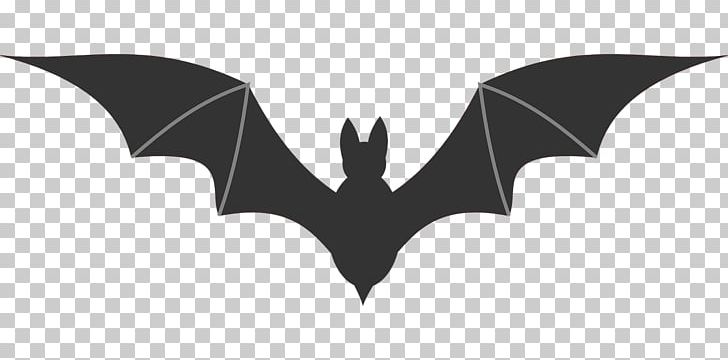 Bat PNG, Clipart, Animals, Bat, Black, Black And White, Blackcapped Fruit Bat Free PNG Download