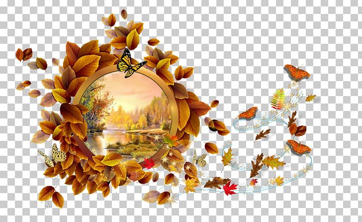 Frames Photography Android PNG, Clipart, Android, Autumn, Autumn Leaf Color, Camera, Download Free PNG Download