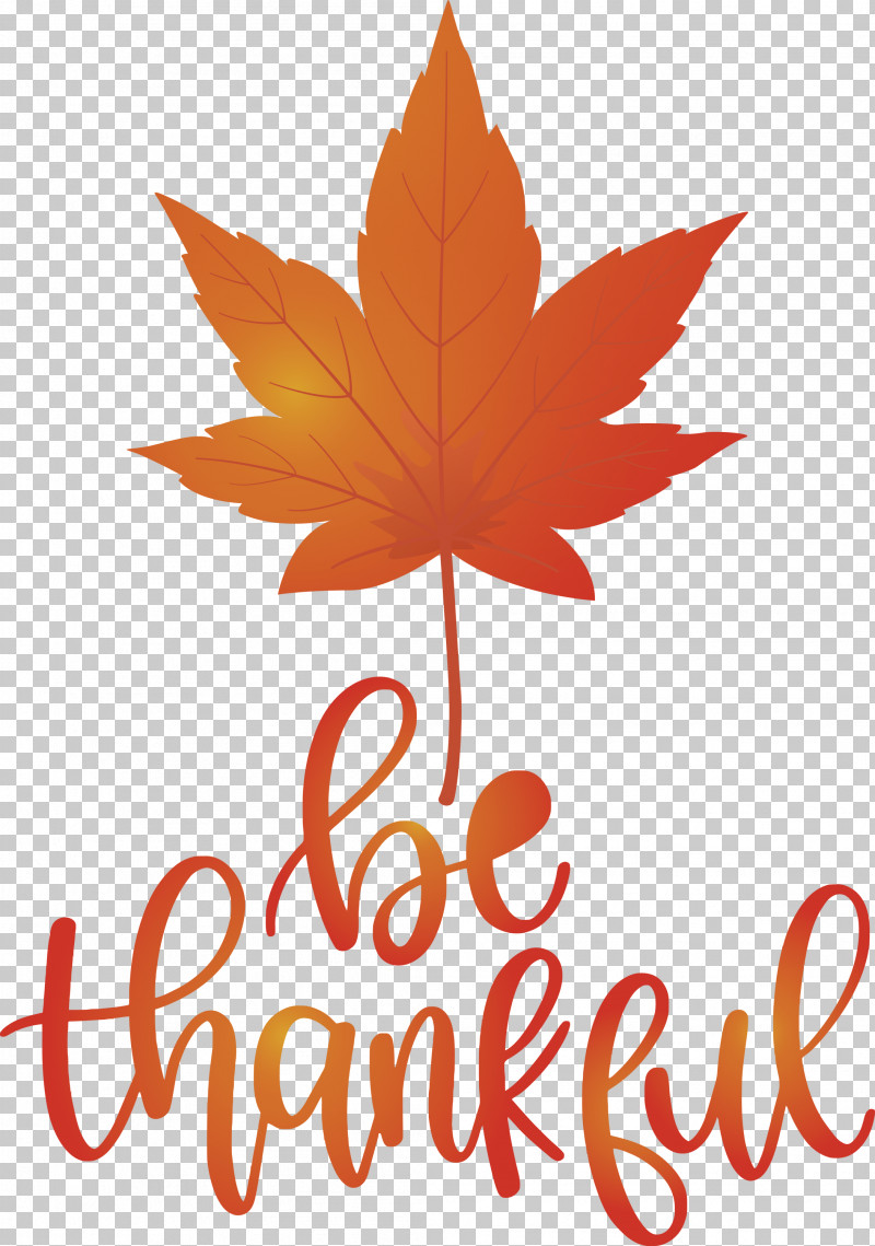 Thanksgiving Be Thankful Give Thanks PNG, Clipart, Acer Nigrum, Autumn Leaf Color, Be Thankful, Give Thanks, Leaf Free PNG Download